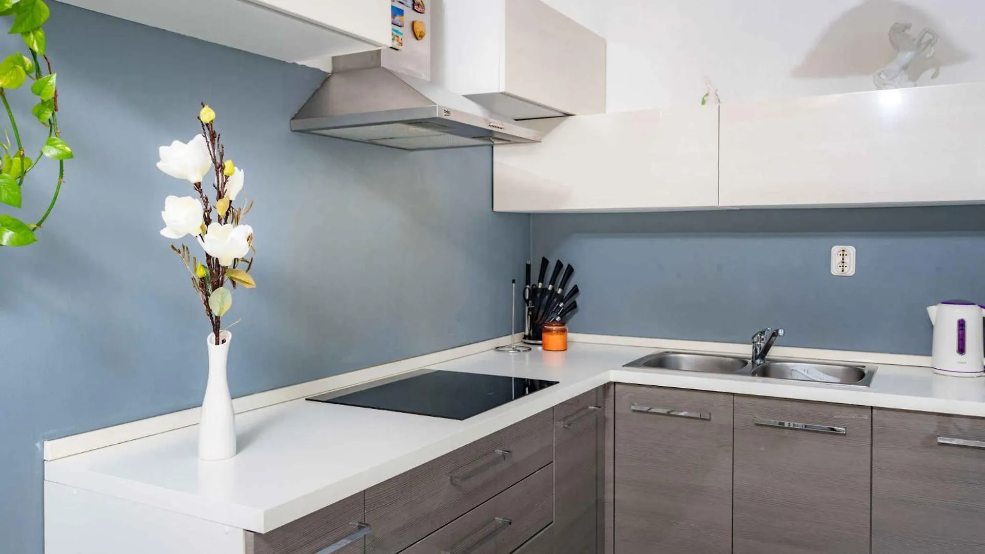 Apartment Kampor 1 Croatia